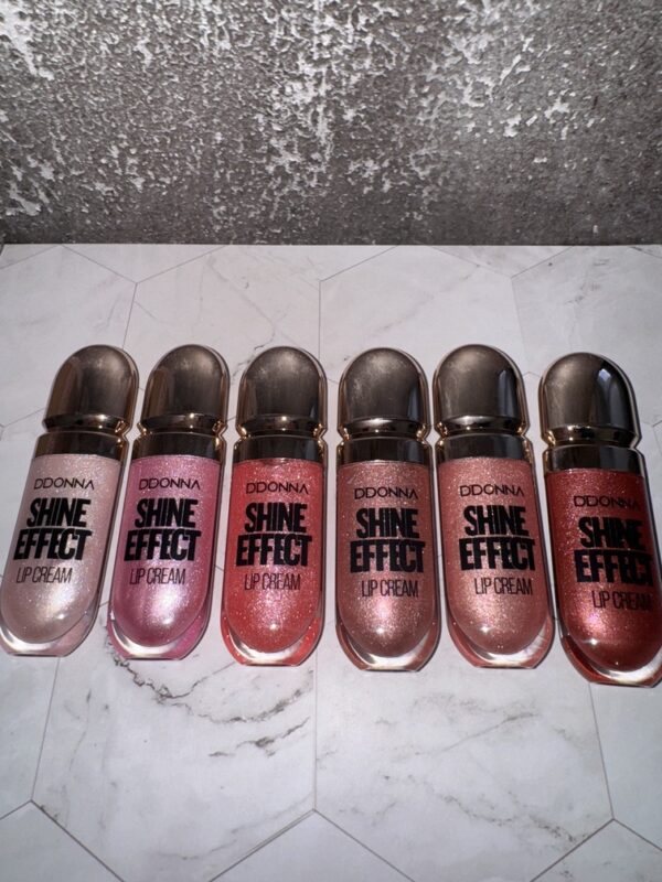 gloss lèvre brillant , 6 coloris au choix