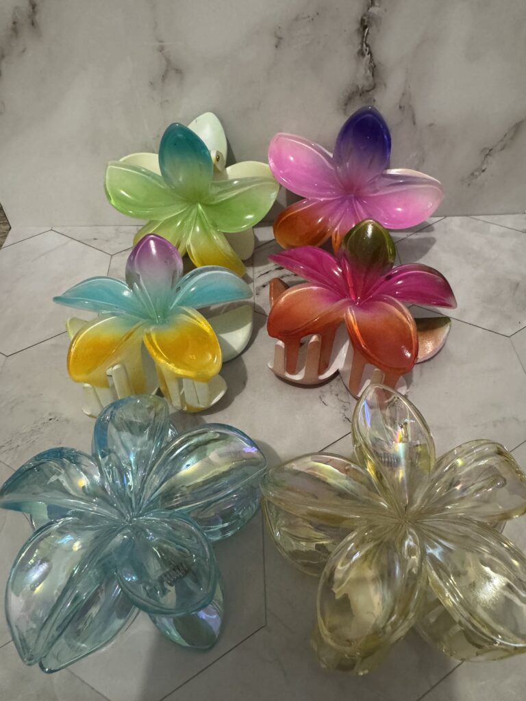 Pinces cheveux différents coloris